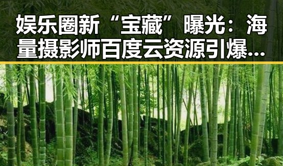 娱乐圈新“宝藏”曝光：海量摄影师百度云资源引爆吃瓜热潮