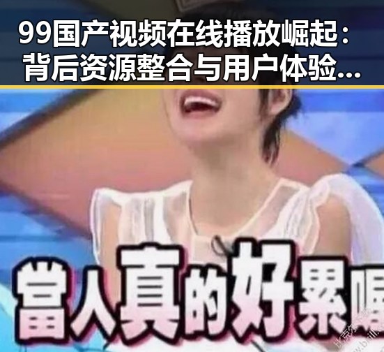 99国产视频在线播放崛起：背后资源整合与用户体验的深层解读